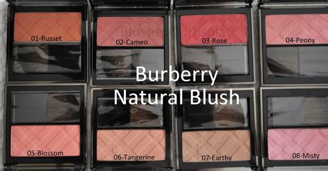 Burberry Russet (01) Light Glow Natural Blush Product Info